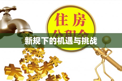 岑溪新规下的机遇与挑战
