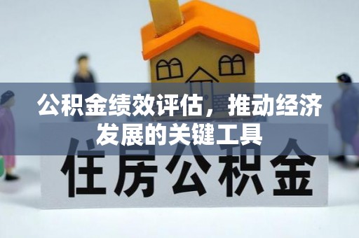 岑溪公积金绩效评估，推动经济发展的关键工具
