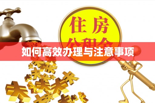 岑溪如何高效办理与注意事项