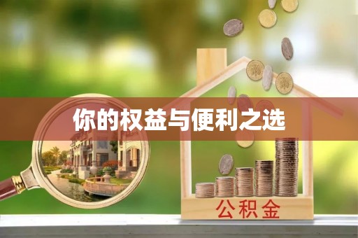 岑溪你的权益与便利之选
