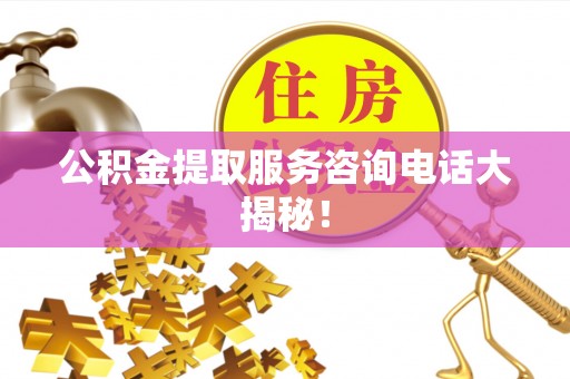 岑溪公积金提取服务咨询电话大揭秘！