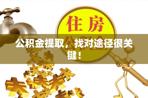 岑溪公积金提取，找对途径很关键！