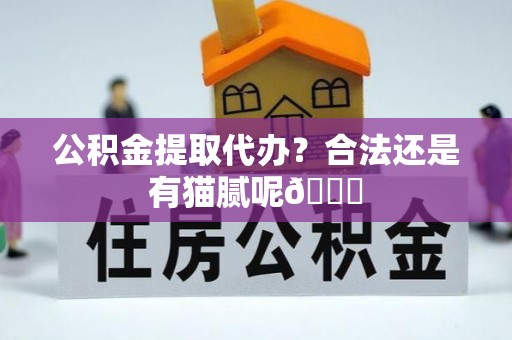 岑溪公积金提取代办？合法还是有猫腻呢😏