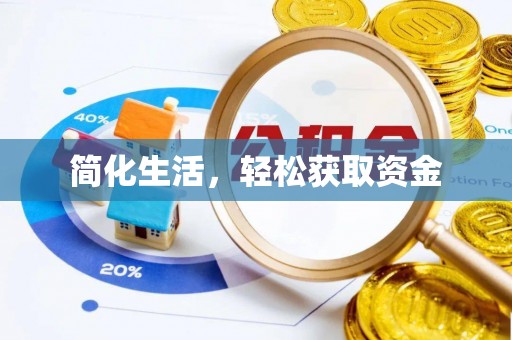 岑溪简化生活，轻松获取资金